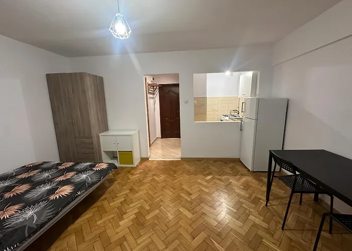 Central Warsaw Studio 公寓 华沙